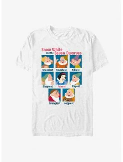 HER Disney Snow White And The Seven Dwarfs Yearbook T-Shirt